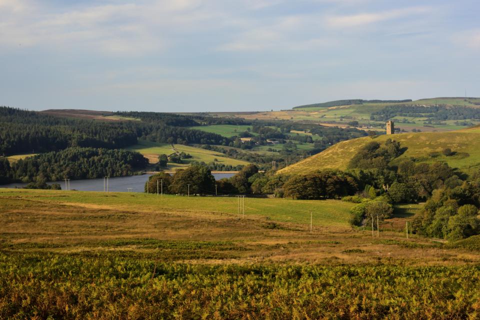 Strines Reservoir is an upland lake surrounded by hills offering lots of trails for walkers