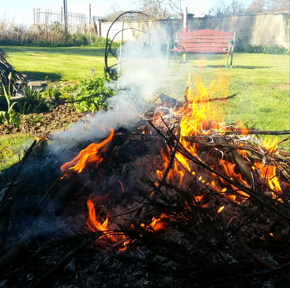 There are rules to follow if you're considering disposing of waste in a garden fire