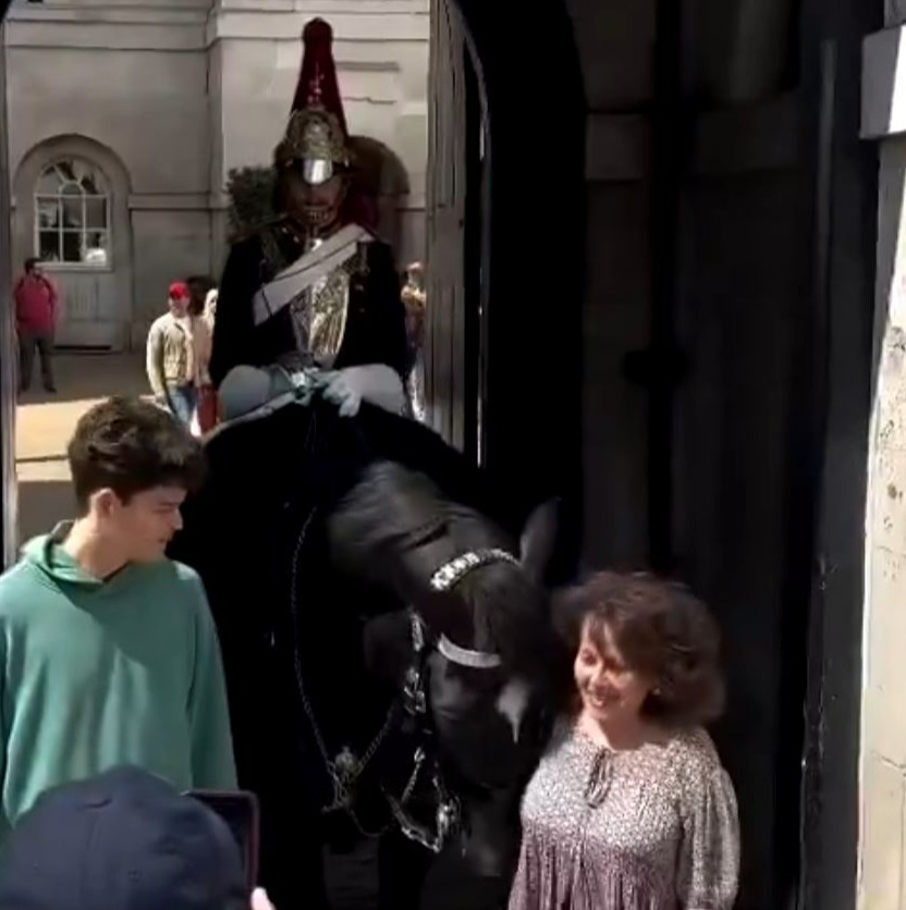 Footage shows a woman getting too near a King's Guard horse