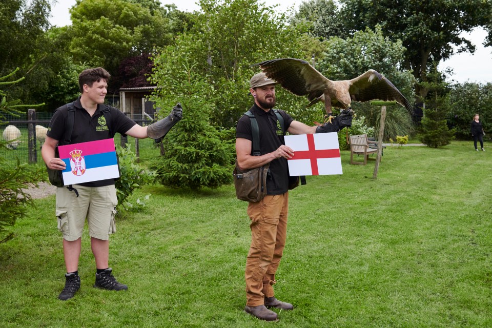 Honey the psychic eagle has predicted a win for England against Serbia