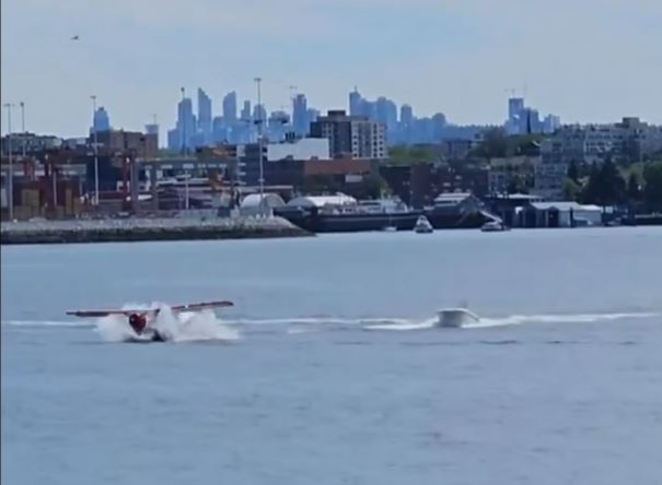 The plane then plunge into the sea almost immediately after the crash