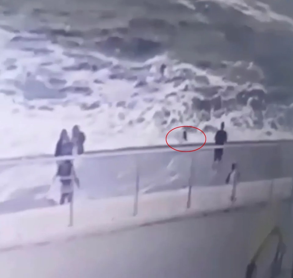 CCTV footage caught the chilling moment the a massive wave knocked the Ukrainian cop