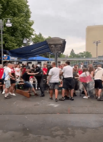 A different angle shows an officer then grabbing the fan and landing a huge punch on his face