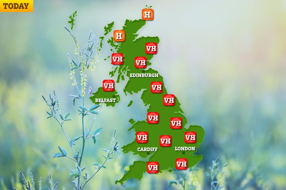 Millions of hay fever sufferers are experiencing the ‘worst pollen bomb of the year’ so far