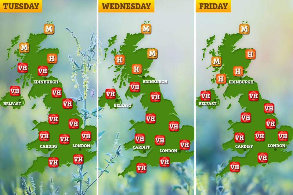 Pollen spread will remain at similar levels across the week – only dropping in places on Thursday