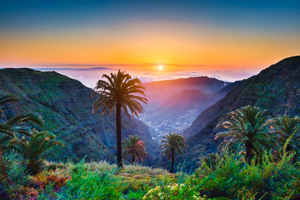 Explore the tropical scenery with exotic palm trees and mountain valleys above the open sea