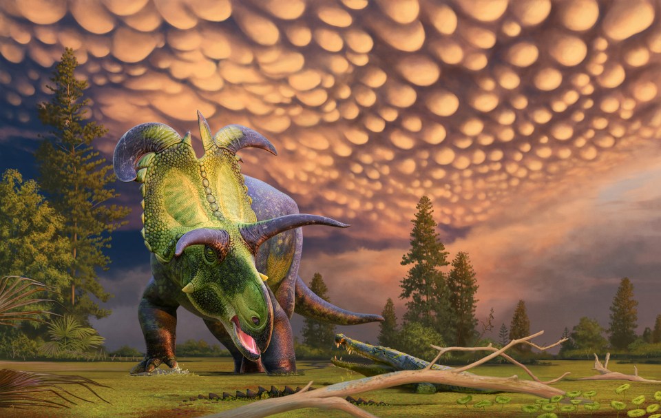 The creature is only the fifth horned dinosaur species ever discovered