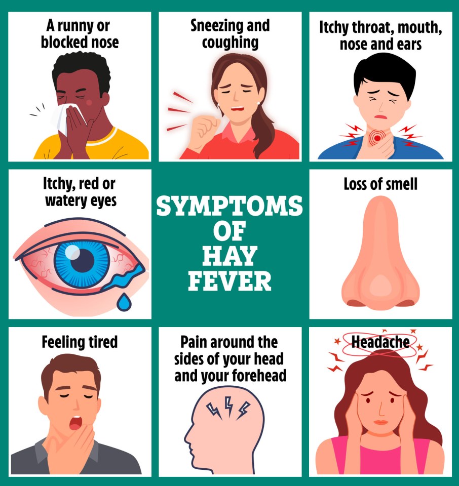 Hay fever can affect your nose, eyes, head and throat