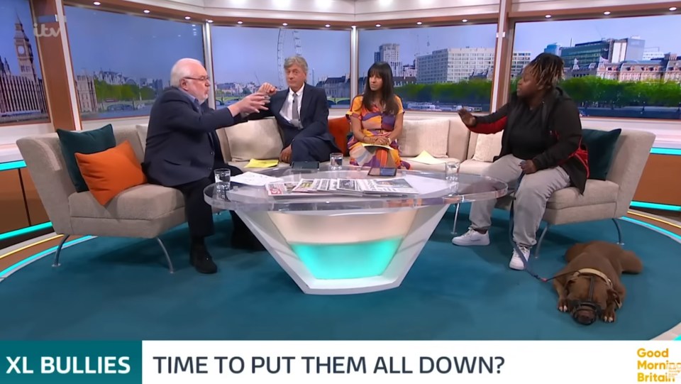 Mike Parry and Kay Taiwo clashed on air over XL Bullies