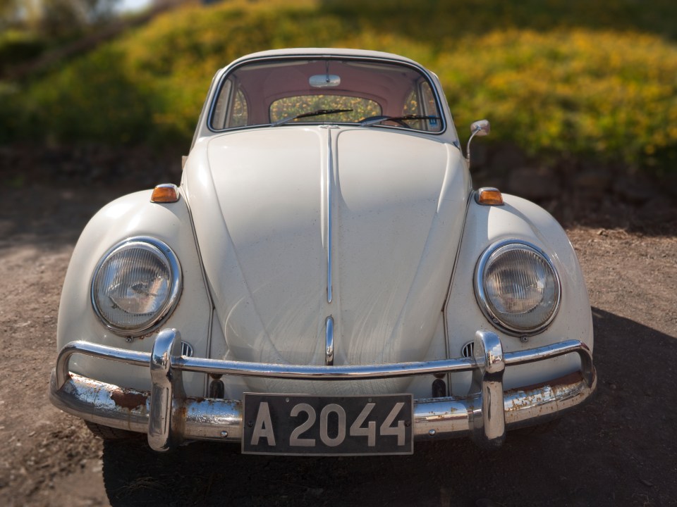 The Volkswagen Beetle has an average asking price of £7,451