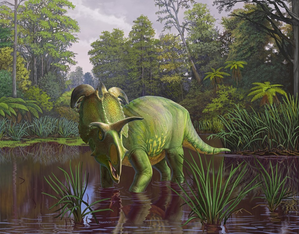 The dinosaur lived in a coastal area - trawling through floods and swamp lands