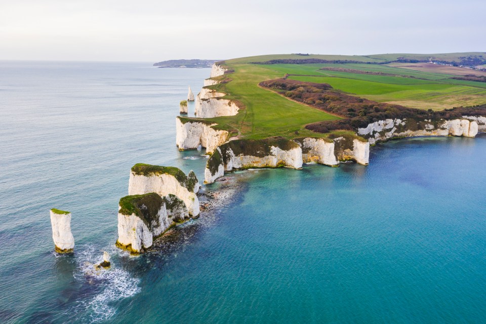 A boy fell 60ft off a cliff during a school trip to Old Harry Rocks