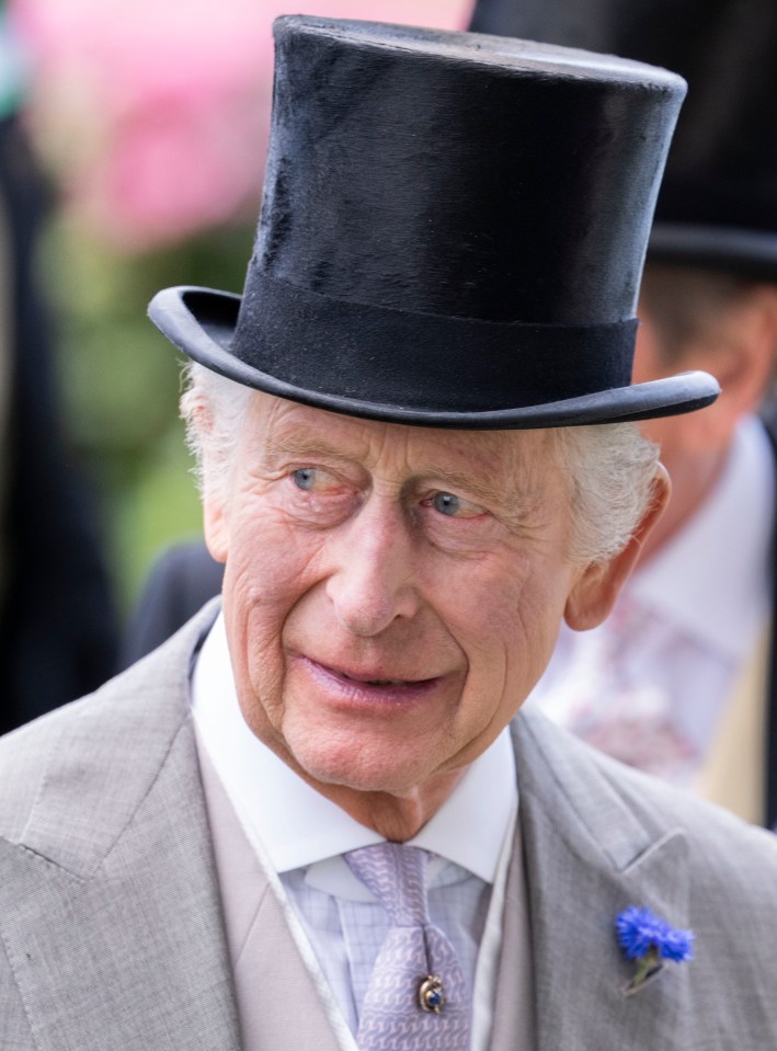 a man wearing a top hat and tie smiles for the camera