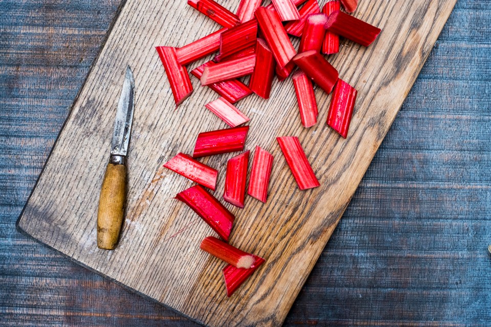 Rhubarb is toxic to slugs