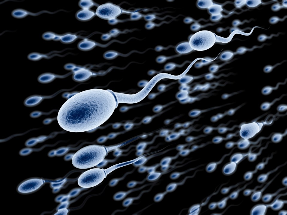 If sperm belongs to men who have similar genes to women — which would make less healthy babies — the mucus was thicker and more difficult to swim through the cervix