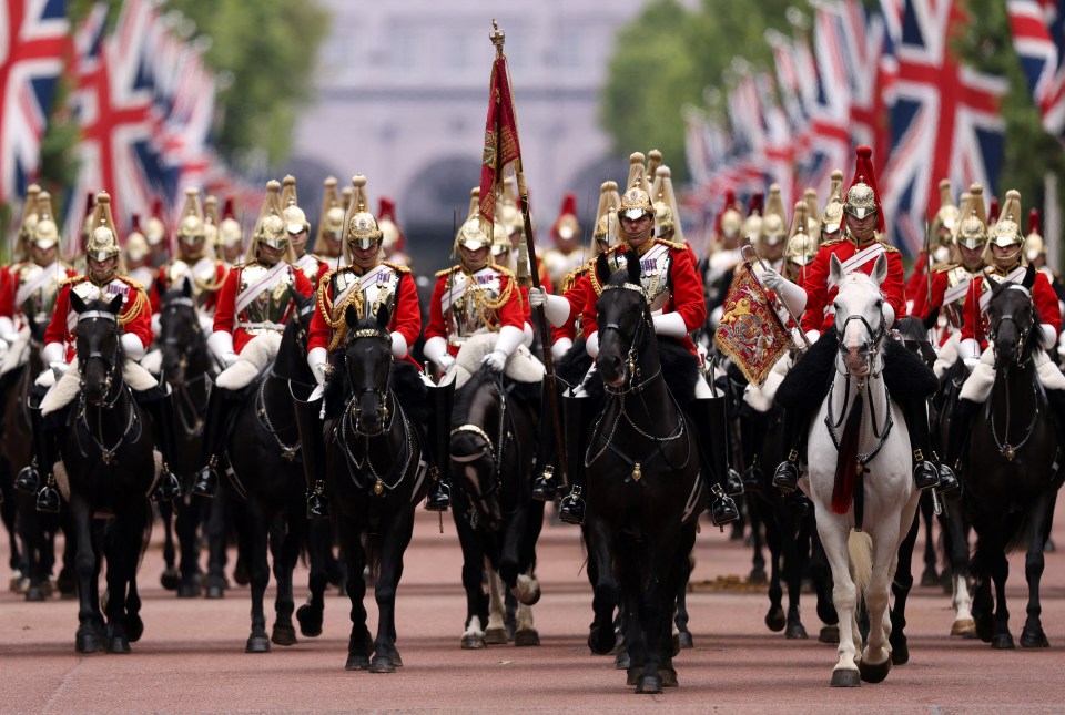 Members of the Household Cavalry ride on horseback as they take part in the Major General's Review rehearsal for Trooping the Colour, in honour of the official birthday of King Charles, in London, Britain, June 1, 2024. REUTERS/Hollie Adams