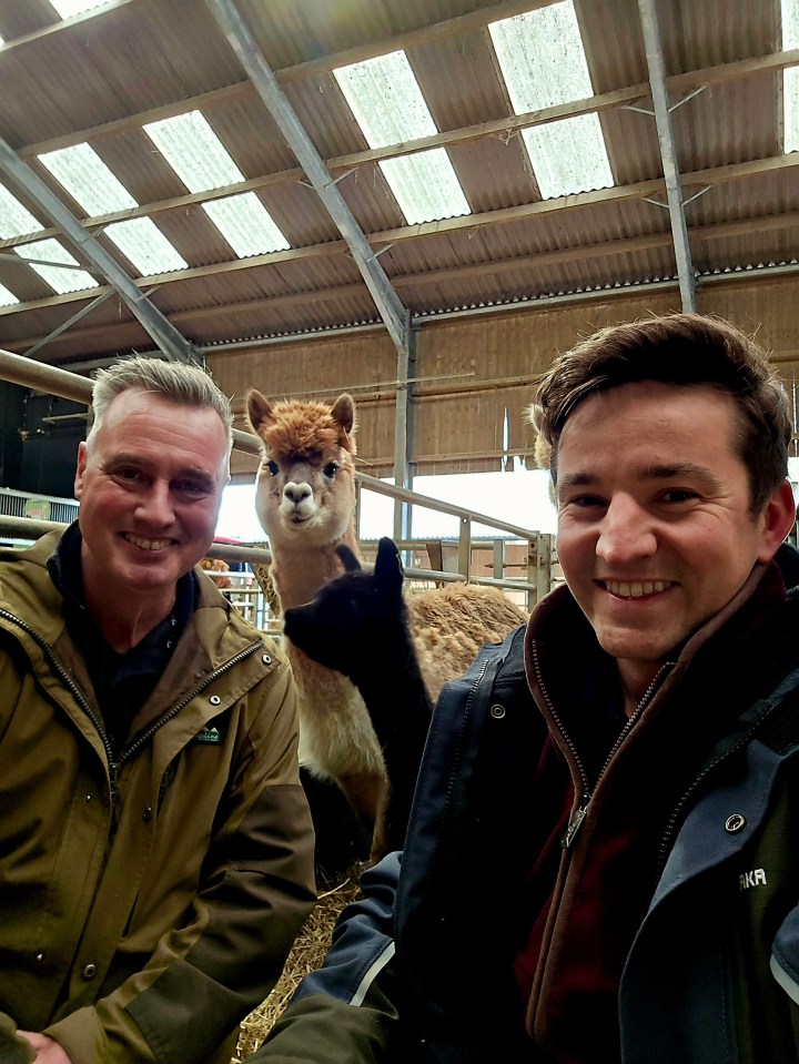 The Yorkshire Vet S18 ep8 - Roxette the alpaca with her cria and Dave Nicholson and David Melleney