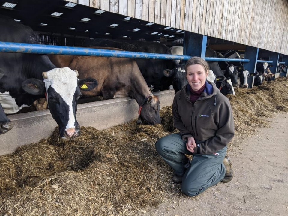 The Yorkshire Vet S18 ep8 - Shona Searson with cows