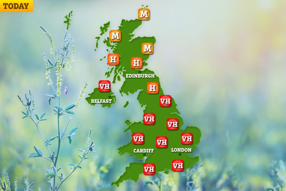 Warnings for 'very high' pollen levels are in place from today