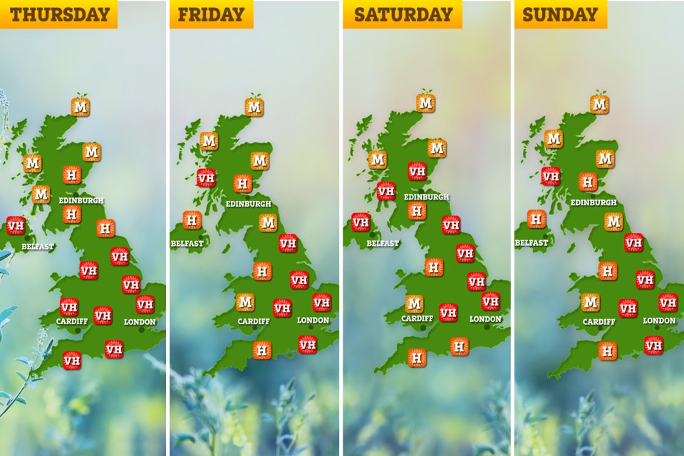 'Very high' pollen counts are expected to strike most of the UK