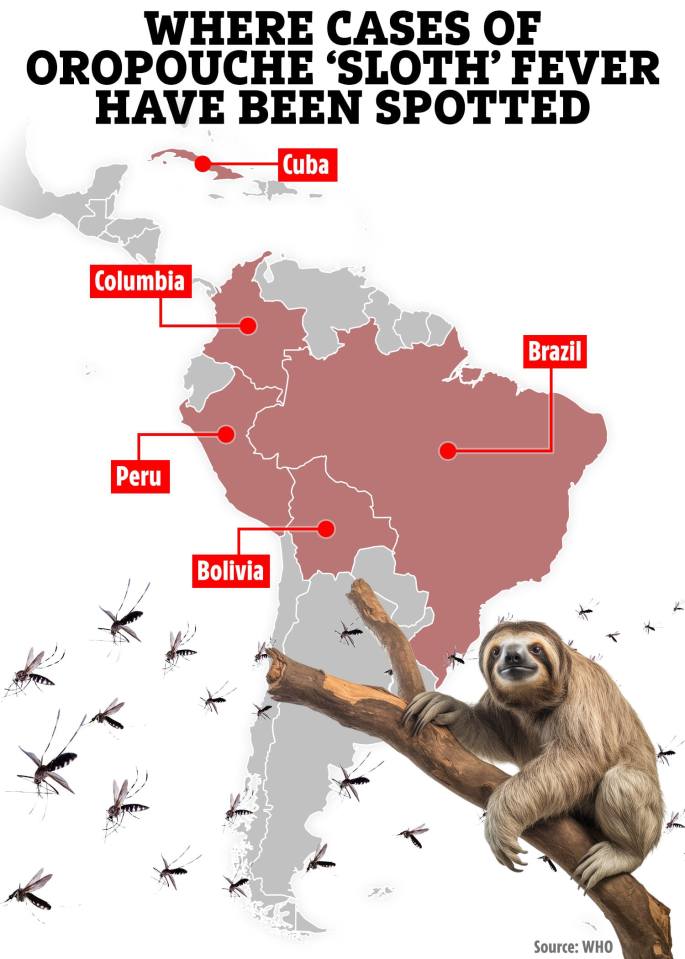 a map shows where cases of oropouche sloth fever have been spotted