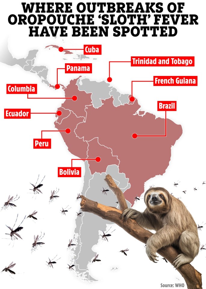 a map shows where outbreaks of oropouche sloth fever have been spotted