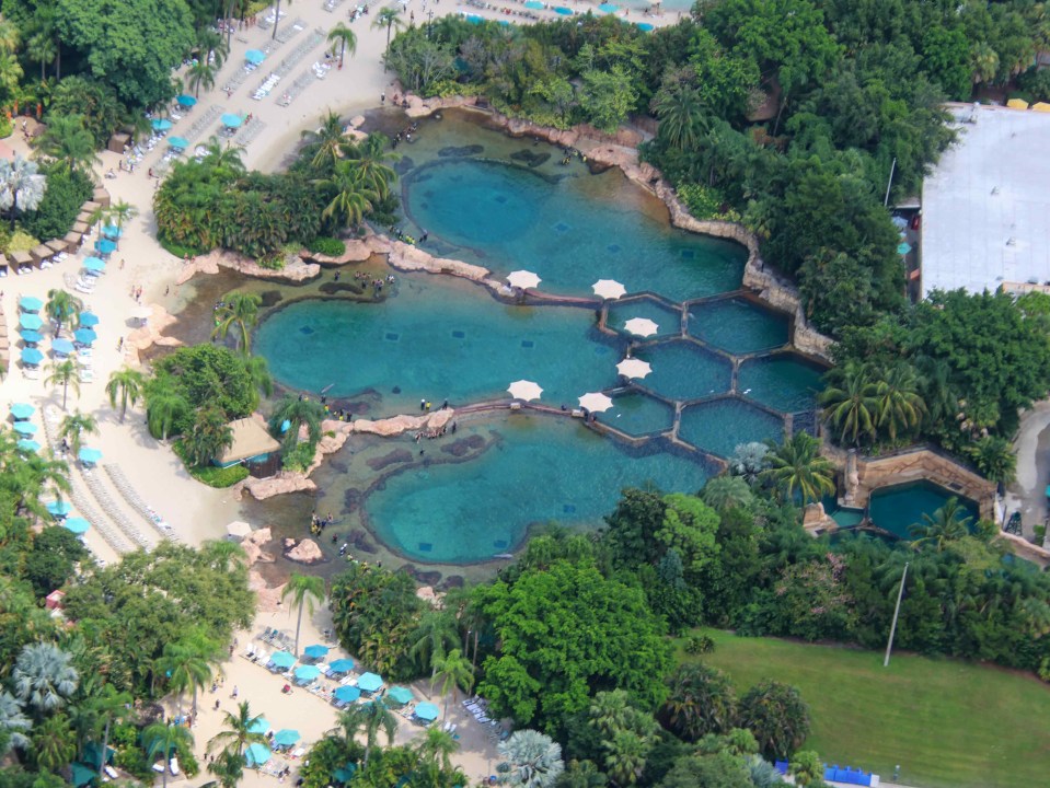 Visitors can swim in a number of different pools at the theme park resort