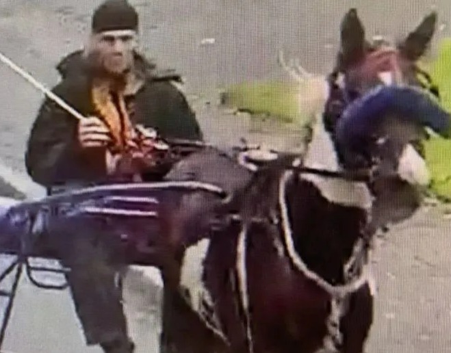 The RSPCA has released CCTV images to find the person responsible