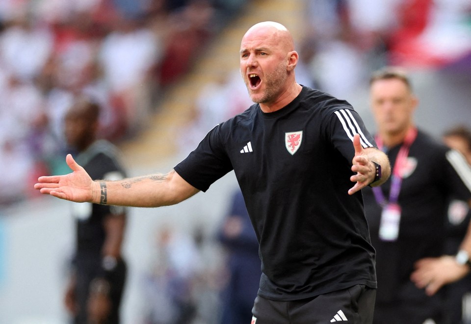 Rob Page has been axed by Wales following a poor run