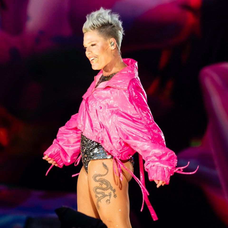 The mother and son both love Pink, who was performing in London (file image)