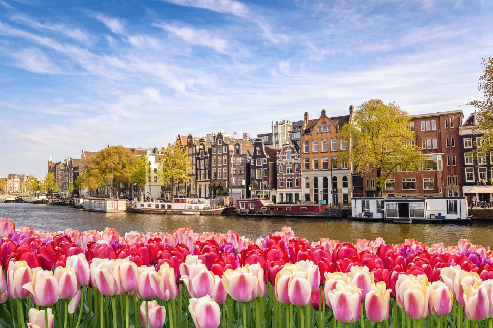 Stop by at Amsterdam on Avalon Waterways’ The Rhine & Moselle for Wine Lovers: Canals, Vineyards and Castles cruise