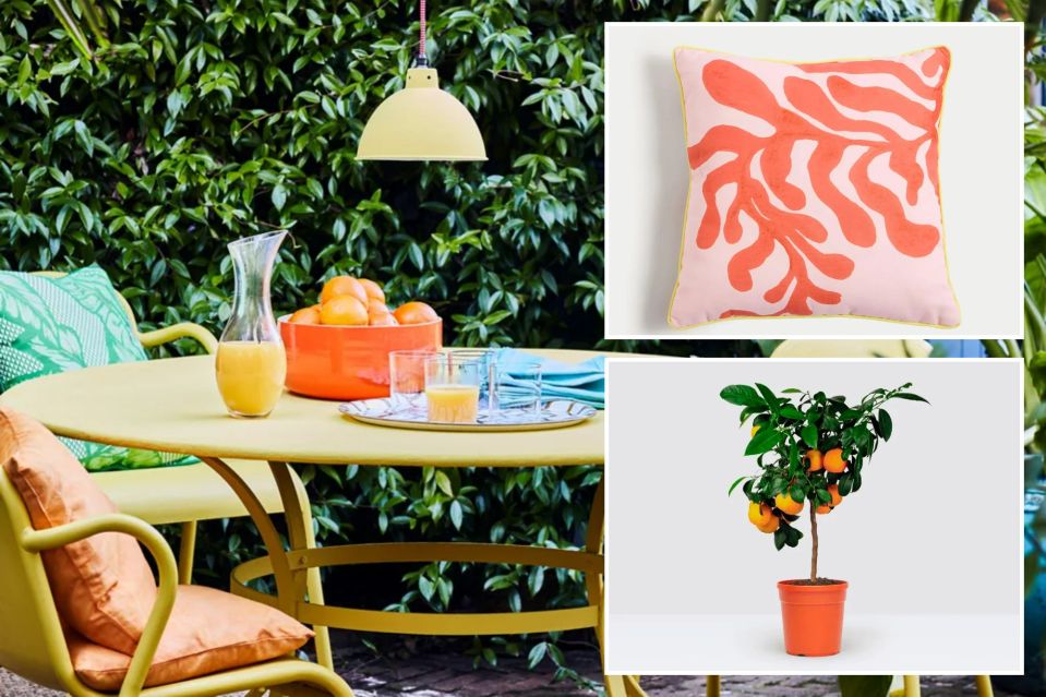 From plants to paint - it's time to transform your outdoor space