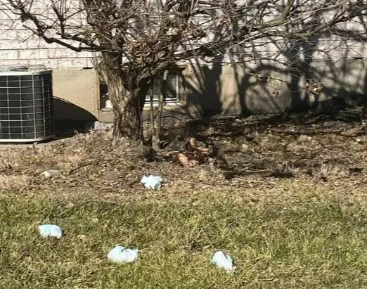 A homeowner was left horrified after discovering their neighbour had been throwing dirty nappies out of their window