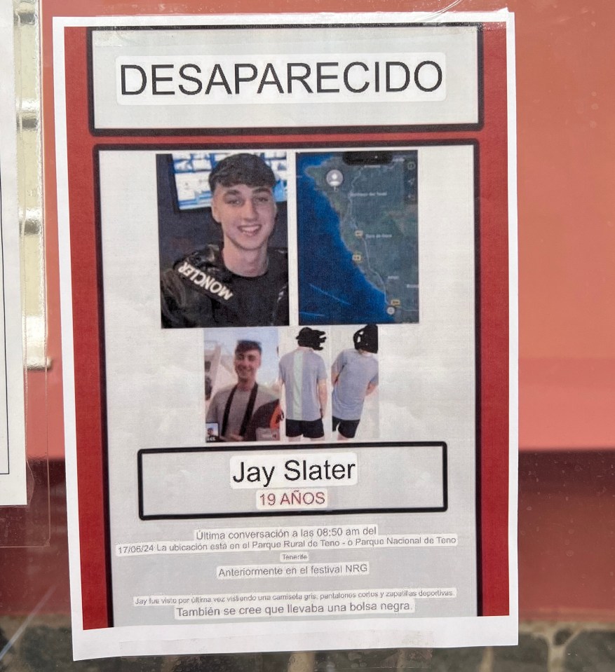 One of the missing person posters that have been posted across Tenerife