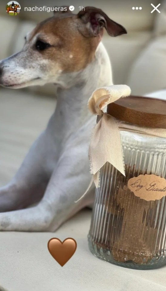 He was also treated to a jar of dog biscuits from the brand