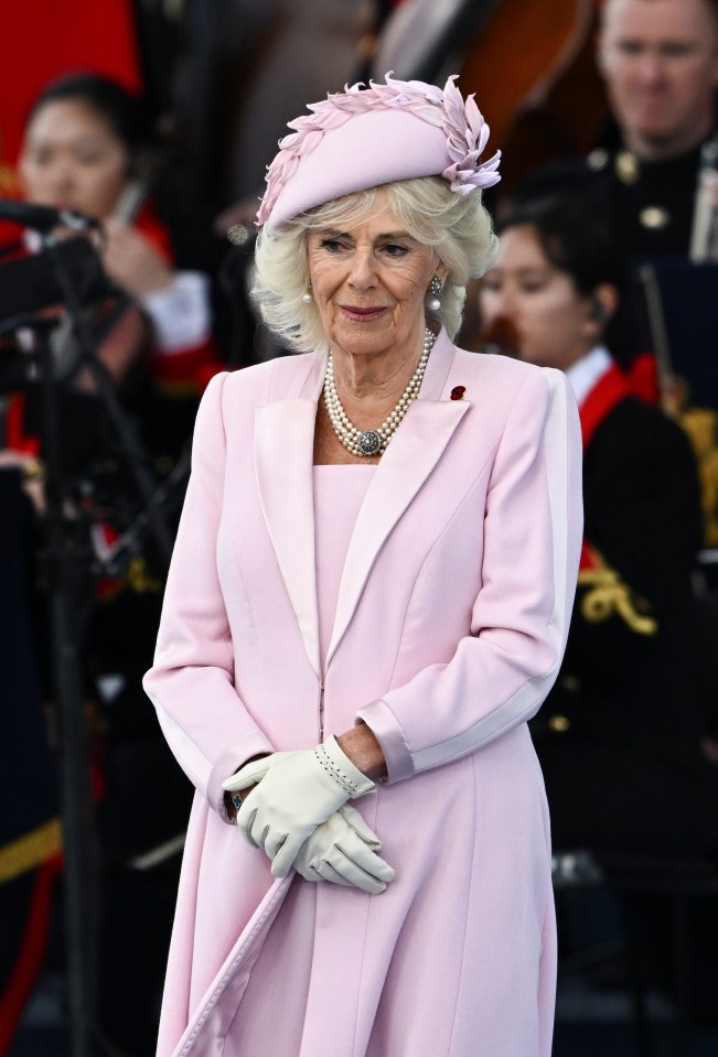 Camilla looked solemn as she stood at the King's side while he spoke