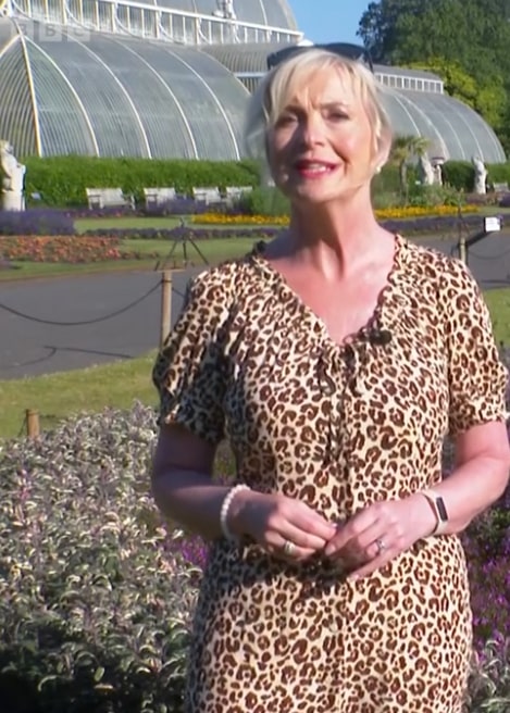 Carol Kirkwood wowed in a plunging dress this morning on BBC Breakfast