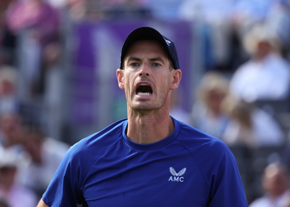 Andy Murray is racing to be fit for Wimbledon