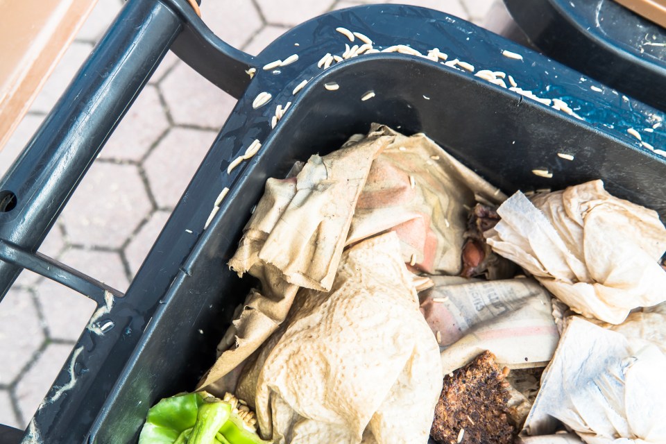 A man named Dean has revealed the genius way he prevents flies from hovering around his bins