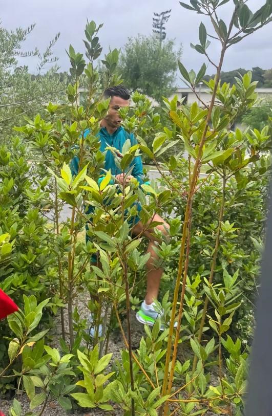 Cristiano Ronaldo climbed through a bush to take a picture with fans