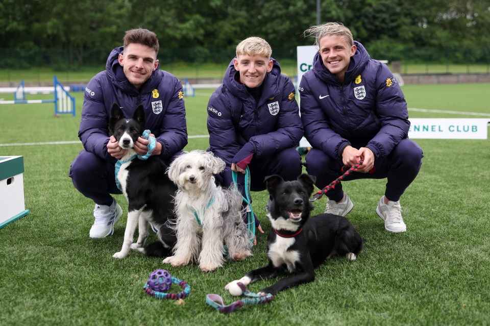 Viewers won't have to be beagle-eyed to spot England stars Declan Rice, Anthony Gordon and Conor Gallagher leading the challenges