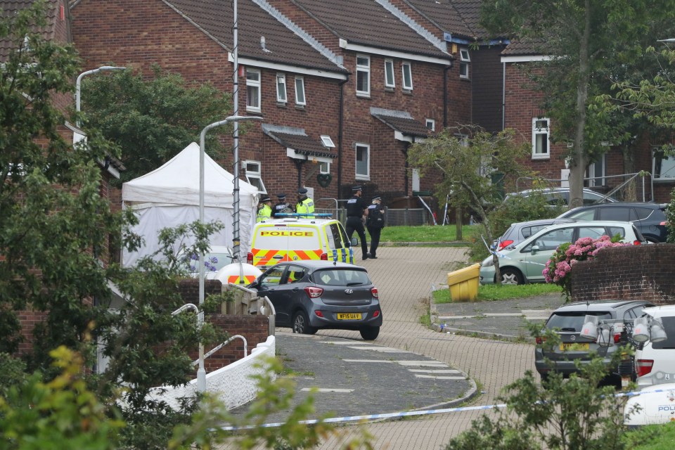 Police flocked to the quiet street in Plymouth after shooting started