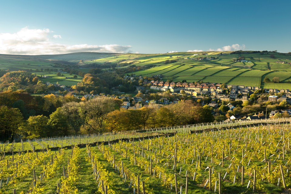 Holmfirth Vineyard opened in 2008 and offers tours, breakfast, lunch, dinner and afternoon tea