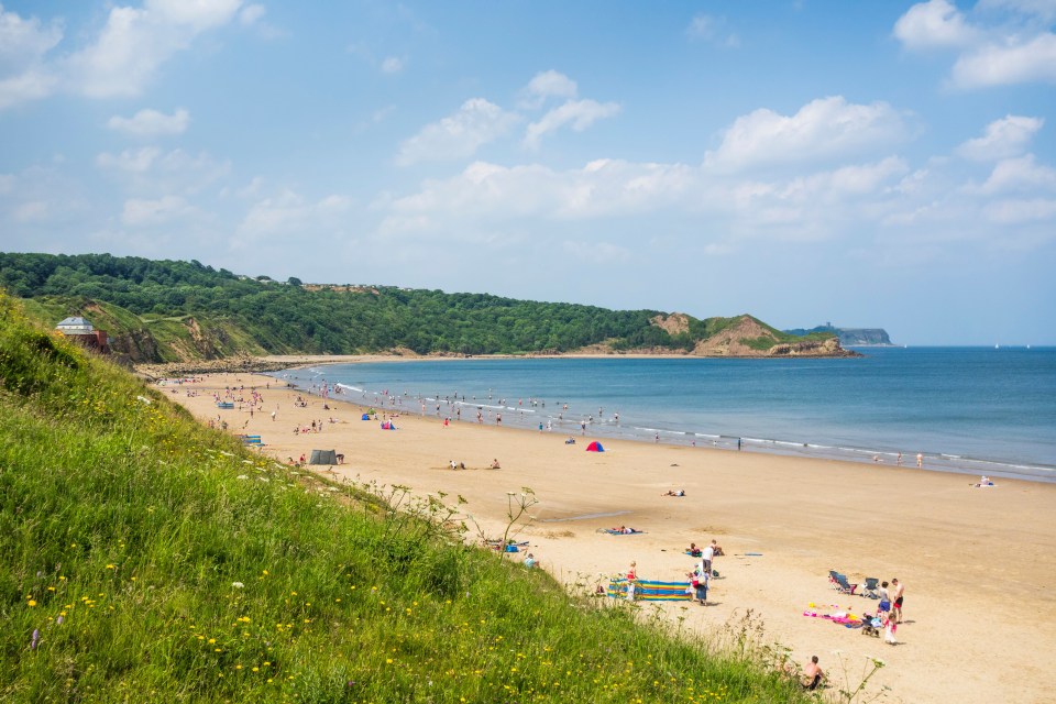 Cayton Bay Beach is between Filey and Scarborough with a sweeping bay that's dog-friendly all year round