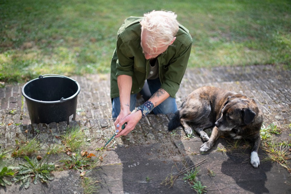 a man kneeling next to a dog with a bucket in the background