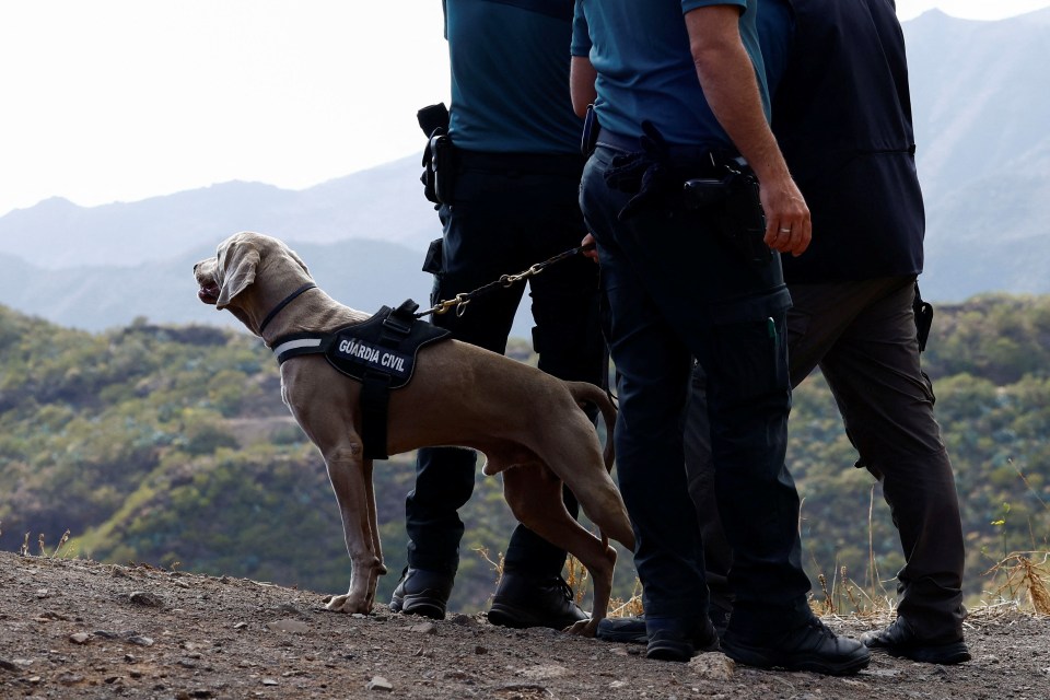 A sniffer dog joins in the search for missing Jay Slater