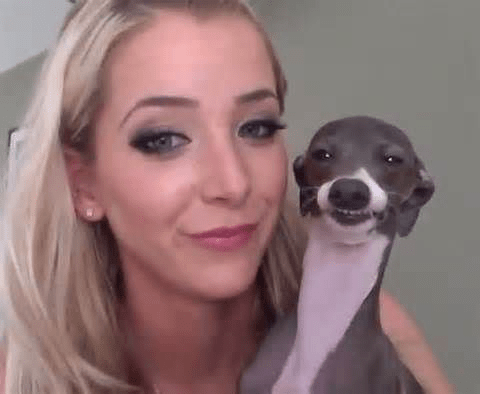 People said Kermit the dog looks strikingly similar