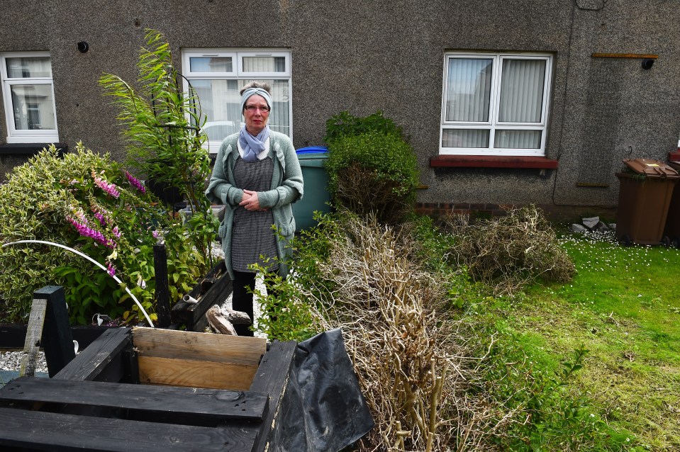 Dorothy Welsh is in a dispute with neighbour Cllr Gavin Scott over a hedge at her house