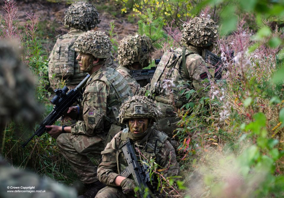 The new Army boss said the UK must accept it is a 'medium-sized' fighting force