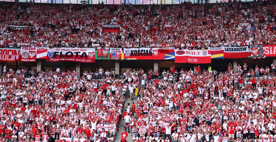 The fan reportedly fell from the stand while celebrating a goal during Austria's win over Poland